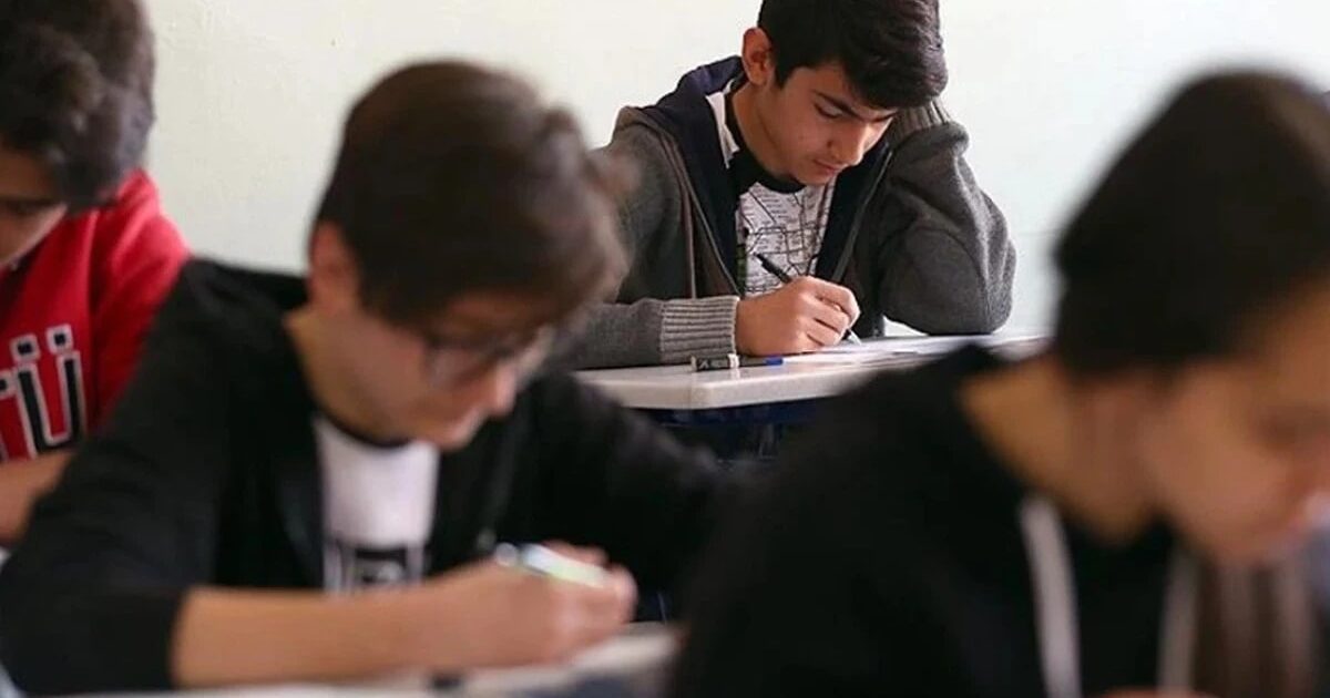 Hedef Temelli Destek Eğitimi MEB Yeni Dersi